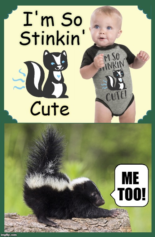 When Something is Really Stinkin' Cute! | I'm So Stinkin'; Cute; ME TOO! | image tagged in vince vance,skunks,animals,stinky,cute baby,baby skunks | made w/ Imgflip meme maker