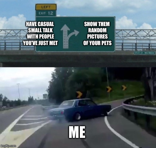 Left Exit 12 Off Ramp Meme | HAVE CASUAL SMALL TALK WITH PEOPLE YOU’VE JUST MET; SHOW THEM RANDOM PICTURES OF YOUR PETS; ME | image tagged in memes,left exit 12 off ramp | made w/ Imgflip meme maker