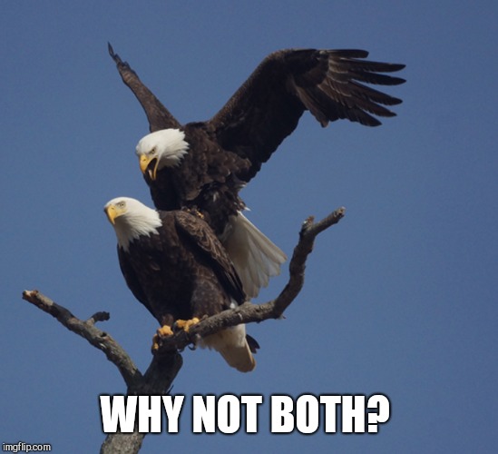 WHY NOT BOTH? | made w/ Imgflip meme maker