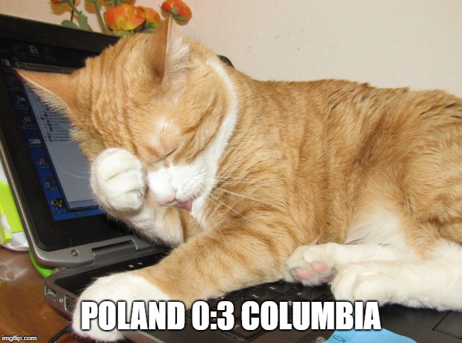 Poland 0:3 Columbia | POLAND 0:3 COLUMBIA | image tagged in soccer,poland,columbia | made w/ Imgflip meme maker