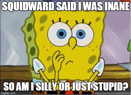 Spongebob confused face | SQUIDWARD SAID I WAS INANE; SO AM I SILLY OR JUST STUPID? | image tagged in spongebob confused face | made w/ Imgflip meme maker