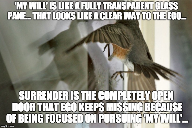 Surrender is the way | 'MY WILL' IS LIKE A FULLY TRANSPARENT GLASS PANE... THAT LOOKS LIKE A CLEAR WAY TO THE EGO... SURRENDER IS THE COMPLETELY OPEN DOOR THAT EGO KEEPS MISSING BECAUSE OF BEING FOCUSED ON PURSUING 'MY WILL'... | image tagged in surrender,jesus christ,christianity,spirituality | made w/ Imgflip meme maker
