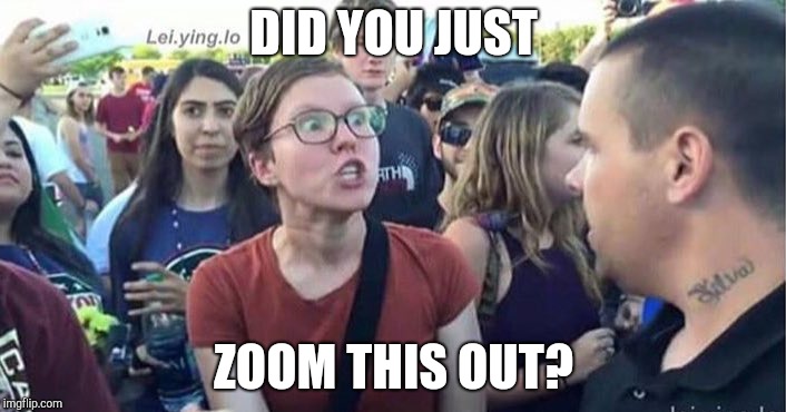 Ummm.... Yes! | DID YOU JUST; ZOOM THIS OUT? | image tagged in did you just assume my gender,lol so funny | made w/ Imgflip meme maker