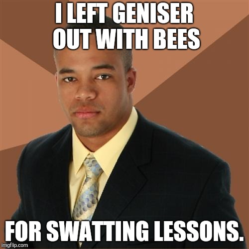 He'll still get hurt! | I LEFT GENISER OUT WITH BEES; FOR SWATTING LESSONS. | image tagged in memes,successful black man | made w/ Imgflip meme maker
