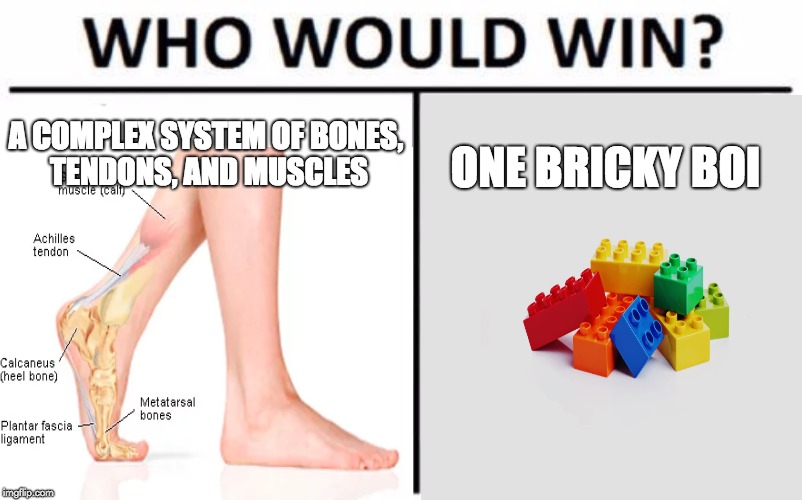 A COMPLEX SYSTEM OF BONES, TENDONS, AND MUSCLES; ONE BRICKY BOI | image tagged in meme,who would win | made w/ Imgflip meme maker