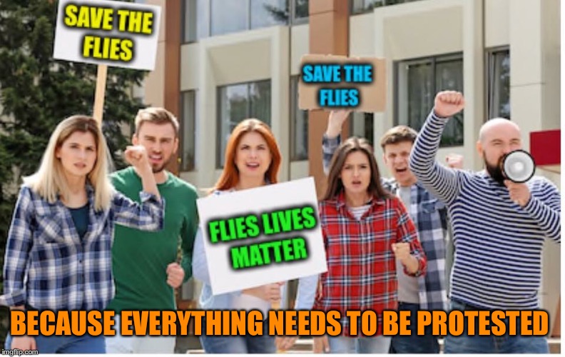Protesters be like....FLIES LIVES MATTER  | BECAUSE EVERYTHING NEEDS TO BE PROTESTED | image tagged in funny memes,funny,flies,bugs,insects | made w/ Imgflip meme maker