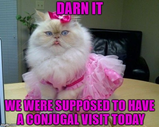 DARN IT WE WERE SUPPOSED TO HAVE A CONJUGAL VISIT TODAY | made w/ Imgflip meme maker