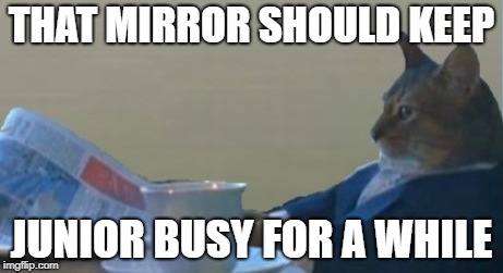 THAT MIRROR SHOULD KEEP JUNIOR BUSY FOR A WHILE | made w/ Imgflip meme maker