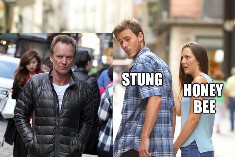 STUNG HONEY BEE | made w/ Imgflip meme maker