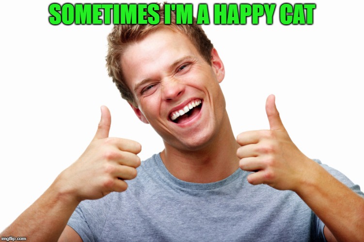 SOMETIMES I'M A HAPPY CAT | made w/ Imgflip meme maker