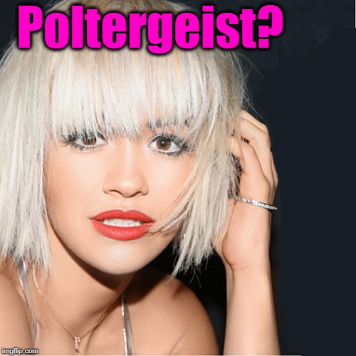 ditz | Poltergeist? | image tagged in ditz | made w/ Imgflip meme maker