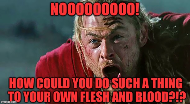 Thor No! | NOOOOOOOOO! HOW COULD YOU DO SUCH A THING TO YOUR OWN FLESH AND BLOOD?!? | image tagged in thor no | made w/ Imgflip meme maker