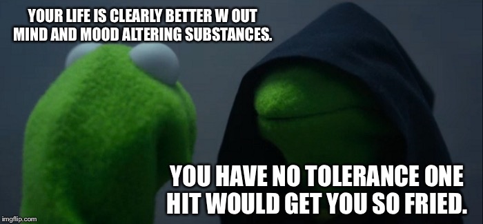Evil Kermit Meme | YOUR LIFE IS CLEARLY BETTER W OUT MIND AND MOOD ALTERING SUBSTANCES. YOU HAVE NO TOLERANCE ONE HIT WOULD GET YOU SO FRIED. | image tagged in memes,evil kermit | made w/ Imgflip meme maker