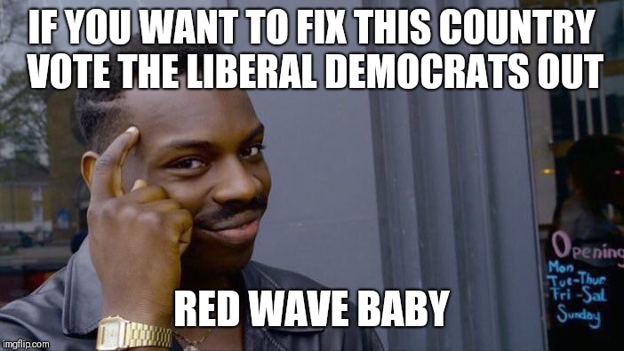 Roll Safe Think About It Meme | IF YOU WANT TO FIX THIS COUNTRY VOTE THE LIBERAL DEMOCRATS OUT; RED WAVE BABY | image tagged in memes,roll safe think about it | made w/ Imgflip meme maker