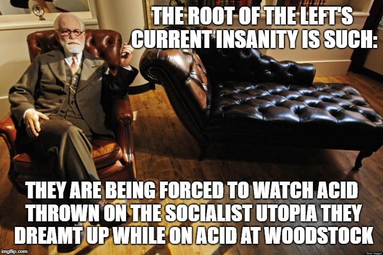 Root causes | THE ROOT OF THE LEFT'S CURRENT INSANITY IS SUCH:; THEY ARE BEING FORCED TO WATCH ACID THROWN ON THE SOCIALIST UTOPIA THEY DREAMT UP WHILE ON ACID AT WOODSTOCK | image tagged in sigmund shares,leftists | made w/ Imgflip meme maker