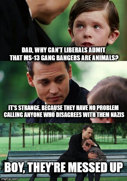 Finding Neverland Meme | DAD, WHY CAN'T LIBERALS ADMIT THAT MS-13 GANG BANGERS ARE ANIMALS? IT'S STRANGE, BECAUSE THEY HAVE NO PROBLEM CALLING ANYONE WHO DISAGREES WITH THEM NAZIS; BOY, THEY'RE MESSED UP | image tagged in memes,finding neverland | made w/ Imgflip meme maker