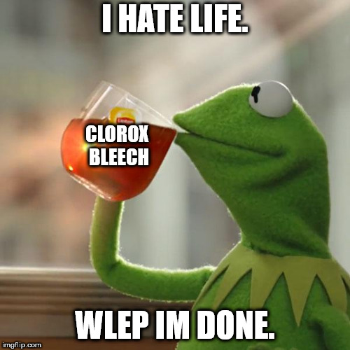 But That's None Of My Business | I HATE LIFE. CLOROX BLEECH; WLEP IM DONE. | image tagged in memes,but thats none of my business,kermit the frog | made w/ Imgflip meme maker