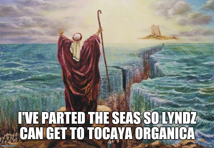 Moses | I'VE PARTED THE SEAS SO LYNDZ CAN GET TO TOCAYA ORGANICA | image tagged in moses | made w/ Imgflip meme maker