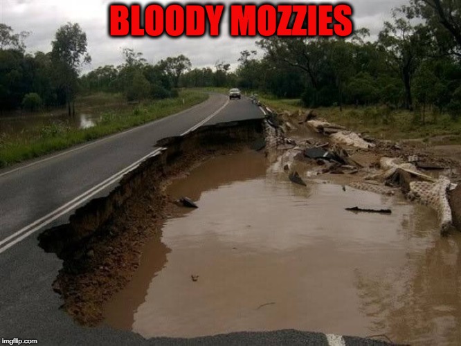 BLOODY MOZZIES | image tagged in just a nibble | made w/ Imgflip meme maker