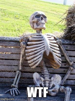 Waiting Skeleton Meme | WTF | image tagged in memes,waiting skeleton | made w/ Imgflip meme maker