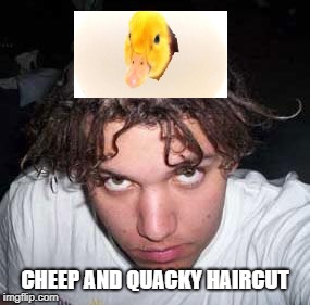 Cheep haircut | CHEEP AND QUACKY HAIRCUT | image tagged in bad haircut,funny memes,duck | made w/ Imgflip meme maker