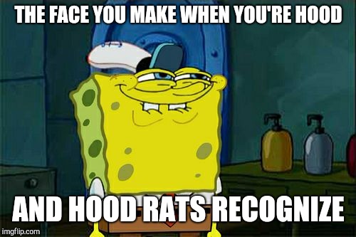 Don't You Squidward Meme | THE FACE YOU MAKE WHEN YOU'RE HOOD AND HOOD RATS RECOGNIZE | image tagged in memes,dont you squidward | made w/ Imgflip meme maker