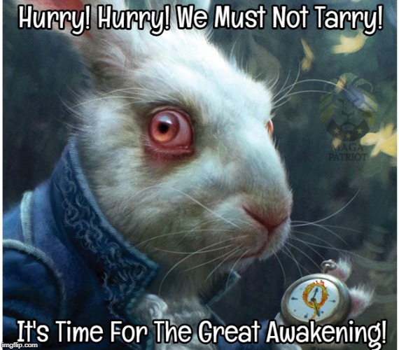 Follow The White Rabbit #QAnon #TheGreatAwakening | image tagged in alice in wonderland,dank memes,political meme,maga | made w/ Imgflip meme maker