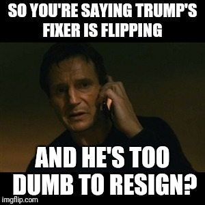 Liam Neeson Taken | SO YOU'RE SAYING TRUMP'S FIXER IS FLIPPING; AND HE'S TOO DUMB TO RESIGN? | image tagged in memes,liam neeson taken | made w/ Imgflip meme maker