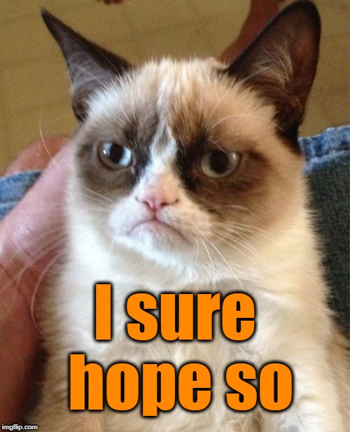 Grumpy Cat Meme | I sure hope so | image tagged in memes,grumpy cat | made w/ Imgflip meme maker