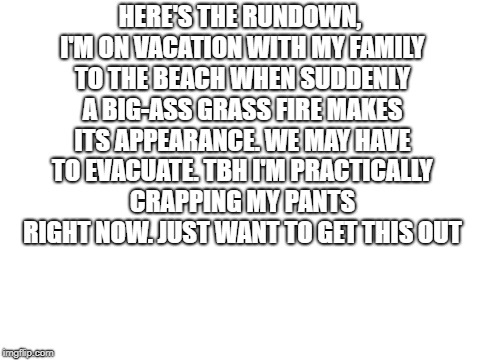 did not expect this | HERE'S THE RUNDOWN, I'M ON VACATION WITH MY FAMILY TO THE BEACH WHEN SUDDENLY A BIG-ASS GRASS FIRE MAKES ITS APPEARANCE. WE MAY HAVE TO EVACUATE. TBH I'M PRACTICALLY CRAPPING MY PANTS RIGHT NOW. JUST WANT TO GET THIS OUT | image tagged in blank white template,scared,help | made w/ Imgflip meme maker