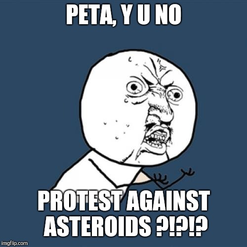 Y U No Meme | PETA, Y U NO PROTEST AGAINST ASTEROIDS ?!?!? | image tagged in memes,y u no | made w/ Imgflip meme maker