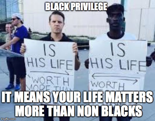 BLACK PRIVILEGE; IT MEANS YOUR LIFE MATTERS MORE THAN NON BLACKS | image tagged in black privilege which lives matter more | made w/ Imgflip meme maker