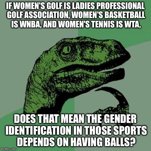 Sports with balls identify female gender in titles | IF WOMEN'S GOLF IS LADIES PROFESSIONAL GOLF ASSOCIATION, WOMEN'S BASKETBALL IS WNBA, AND WOMEN'S TENNIS IS WTA, DOES THAT MEAN THE GENDER IDENTIFICATION IN THOSE SPORTS DEPENDS ON HAVING BALLS? | image tagged in memes,philosoraptor,battle of the sexes,transgender,sport,gender identity | made w/ Imgflip meme maker