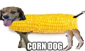 CORN DOG | CORN DOG | image tagged in corn dogs,dog,puppy,cute,funny,pupper | made w/ Imgflip meme maker