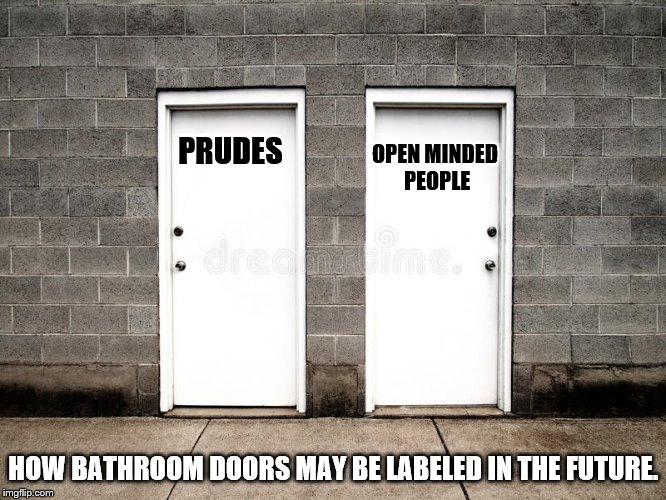 OPEN MINDED PEOPLE; PRUDES; HOW BATHROOM DOORS MAY BE LABELED IN THE FUTURE. | image tagged in bathroom doors,gender fluidty,acceptance | made w/ Imgflip meme maker