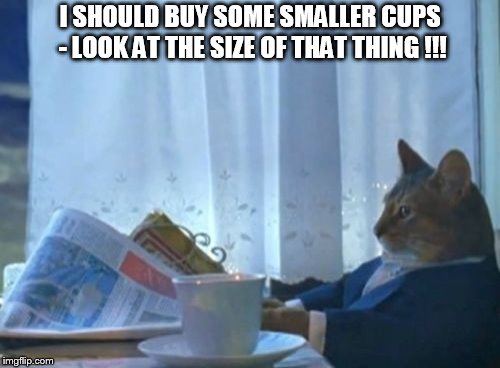 I Should Buy A Boat Cat | I SHOULD BUY SOME SMALLER CUPS - LOOK AT THE SIZE OF THAT THING !!! | image tagged in memes,i should buy a boat cat | made w/ Imgflip meme maker