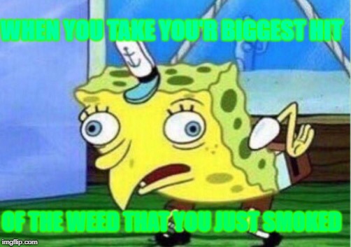 Mocking Spongebob Meme | WHEN YOU TAKE YOU'R BIGGEST HIT; OF THE WEED THAT YOU JUST SMOKED | image tagged in memes,mocking spongebob | made w/ Imgflip meme maker