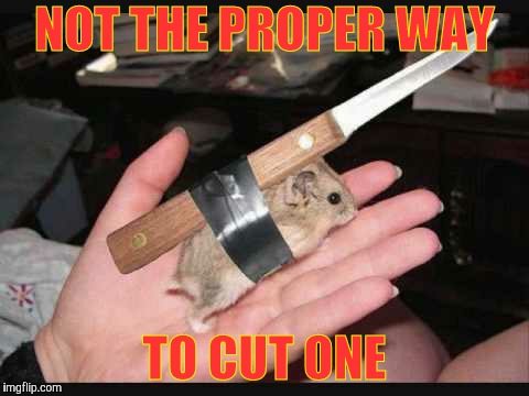 Lock and Load Hamster | NOT THE PROPER WAY TO CUT ONE | image tagged in lock and load hamster | made w/ Imgflip meme maker