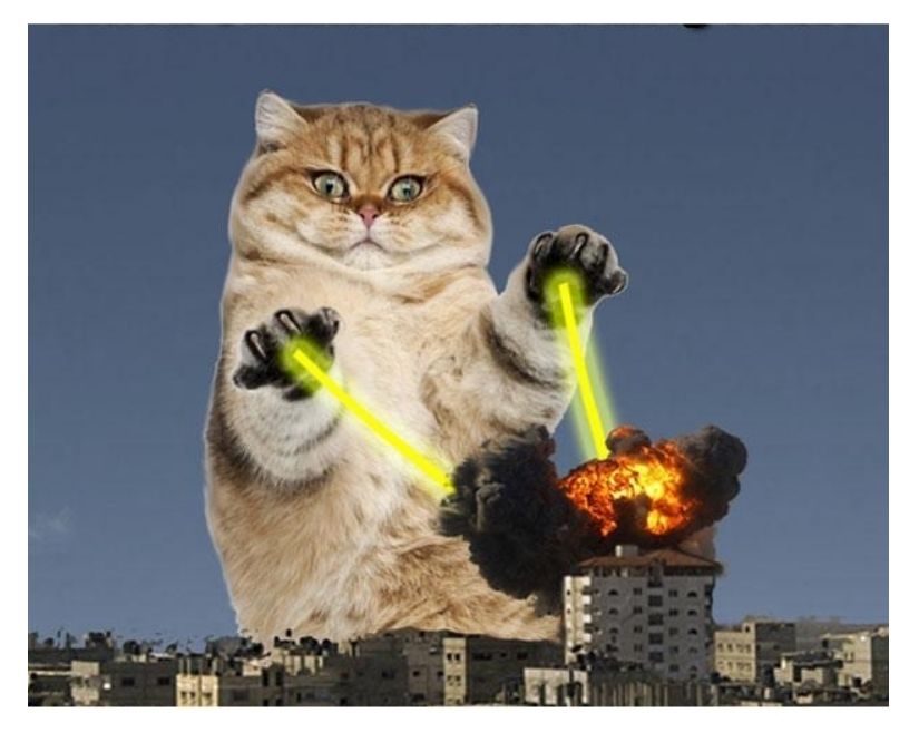 High Quality Lazer Cat Blank Meme Template