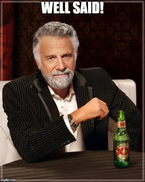 The Most Interesting Man In The World Meme | WELL SAID! | image tagged in memes,the most interesting man in the world | made w/ Imgflip meme maker