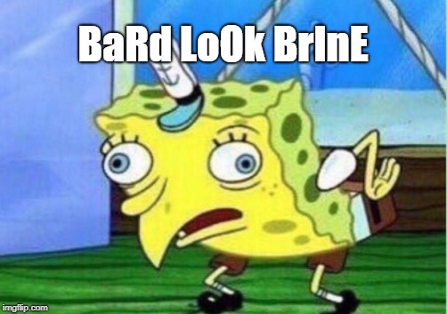 Mocking Spongebob Meme | BaRd LoOk BrInE | image tagged in memes,mocking spongebob | made w/ Imgflip meme maker