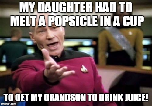 Picard Wtf Meme | MY DAUGHTER HAD TO MELT A POPSICLE IN A CUP TO GET MY GRANDSON TO DRINK JUICE! | image tagged in memes,picard wtf | made w/ Imgflip meme maker