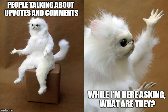 Persian Cat Room Guardian | PEOPLE TALKING ABOUT UPVOTES AND COMMENTS; WHILE I'M HERE ASKING, WHAT ARE THEY? | image tagged in memes,persian cat room guardian | made w/ Imgflip meme maker