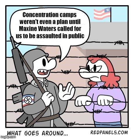 Concentration camps weren't even a plan until Maxine Waters called for us to be assaulted in public | image tagged in trump 2020,maxine waters,nazi,concentration camp | made w/ Imgflip meme maker