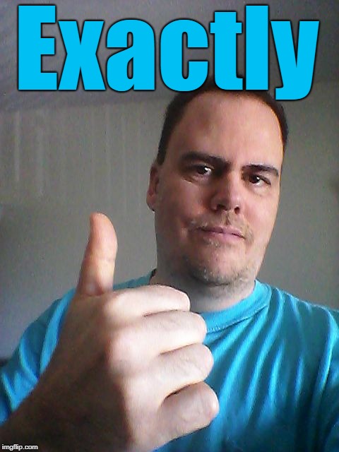 Thumbs up | Exactly | image tagged in thumbs up | made w/ Imgflip meme maker