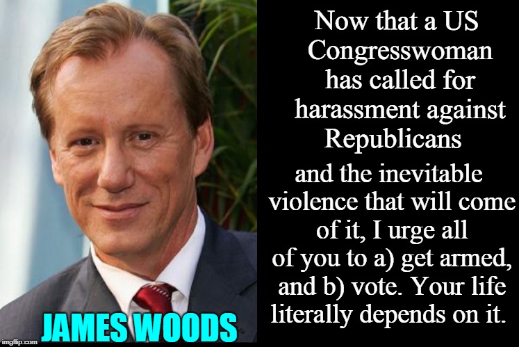 Maxine Waters Declares a Democrat Vs Republican Civil War |  Now that a US Congresswoman has called for harassment against Republicans; and the inevitable violence that will come of it, I urge all of you to a) get armed, and b) vote. Your life literally depends on it. JAMES WOODS | image tagged in vince vance,civil war,pure evil,how could anyone vote for,maxine waters,james woods | made w/ Imgflip meme maker
