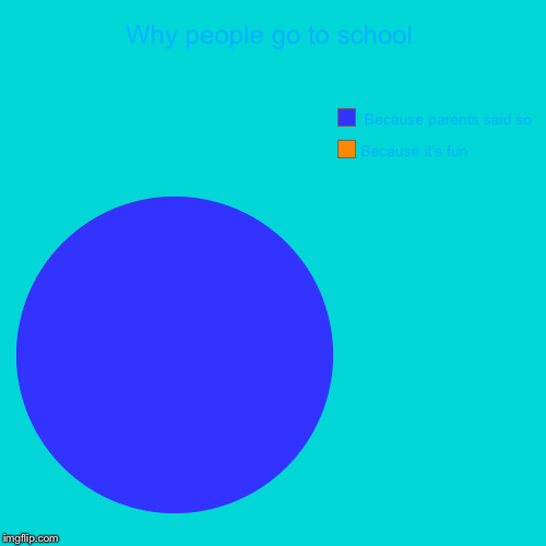 Why people go to school | Because it’s fun,  Because parents said so | image tagged in funny,pie charts | made w/ Imgflip chart maker