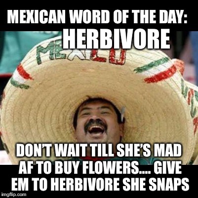 Mexican Word of the Day (LARGE) | HERBIVORE; DON’T WAIT TILL SHE’S MAD AF TO BUY FLOWERS.... GIVE EM TO HERBIVORE SHE SNAPS | image tagged in mexican word of the day large | made w/ Imgflip meme maker