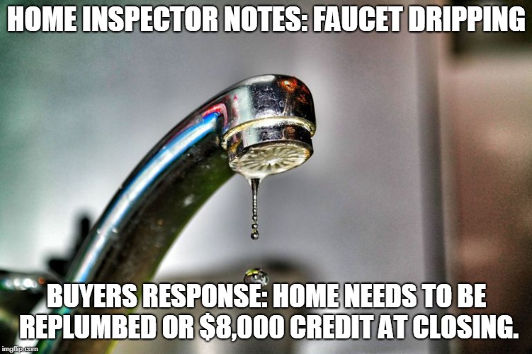 There's no overreaction here | HOME INSPECTOR NOTES: FAUCET DRIPPING; BUYERS RESPONSE: HOME NEEDS TO BE REPLUMBED OR $8,000 CREDIT AT CLOSING. | image tagged in real estate,realtor life | made w/ Imgflip meme maker