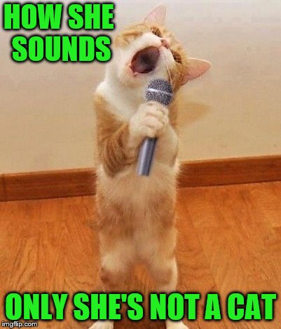 HOW SHE SOUNDS ONLY SHE'S NOT A CAT | made w/ Imgflip meme maker